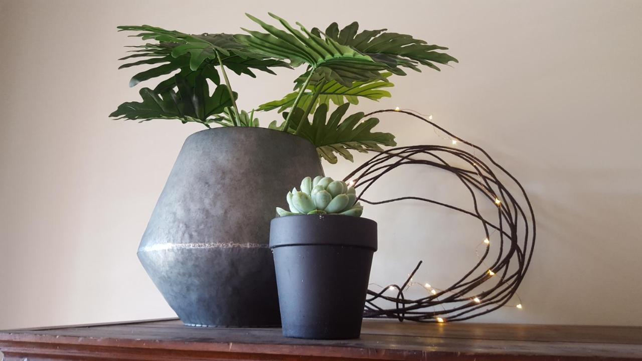 Boutique Heritage Studios On Ryrie Geelong Cbd Opposite Hospital Екстериор снимка